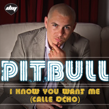 Makna Lagu I Know You Want Me (Calle Ocho) – Pitbull